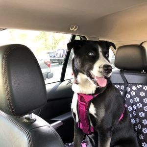 Meet your Posher, Debra